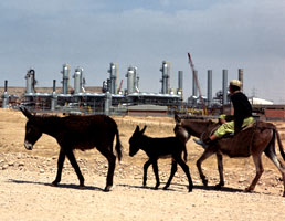 Man with donkeys in front of the Bid Boland gas treatment center.